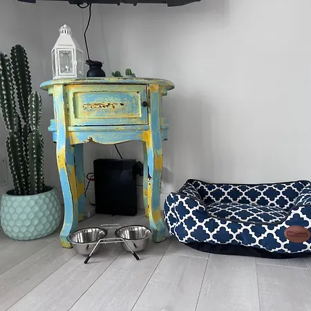 Con Jardin Privado En Menorca アパート *