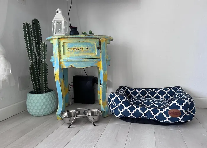 Con Jardin Privado En Menorca Lejlighed *